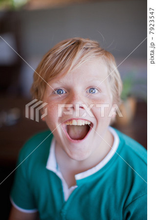 Close up of boy's smiling face 7923547