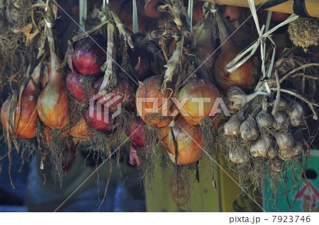 農家の軒下 7923746