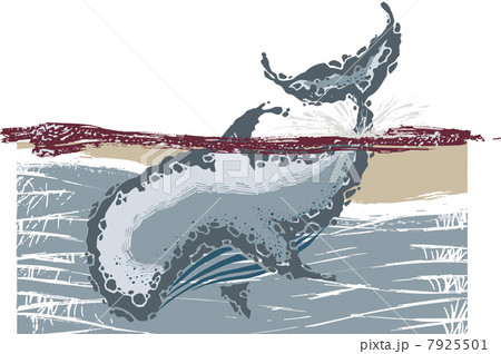 Big whale 7925501