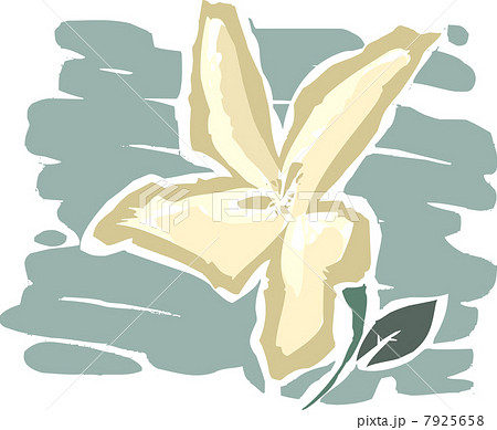 the flower 7925658