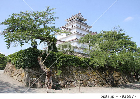 鶴ヶ城 鶴ヶ城 7926977