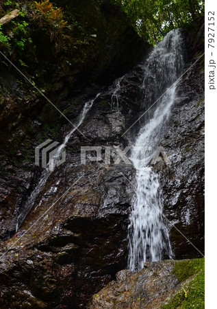 日和田山　五常の滝 7927152