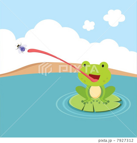 Little frog catching fly 7927312