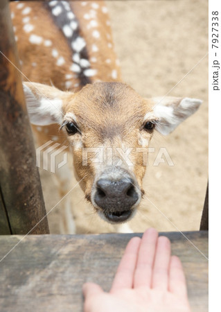 縮む距離感 7927338