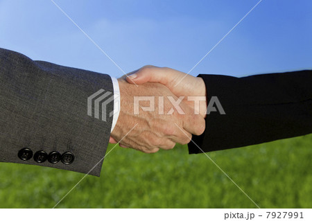 Businessman and Woman Green Field Handshake Businessman and Woman Green Field Handshake 7927991