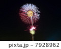 花火 7928962
