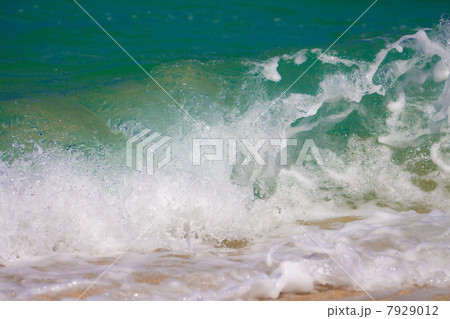 やんばるの海岸 7929012