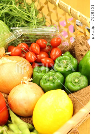 野菜集合写真 7929251