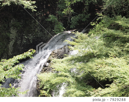 月待の滝 7929288