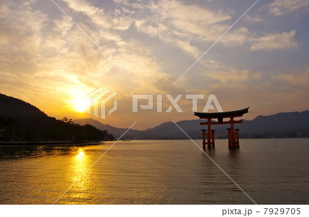 厳島神社 7929705