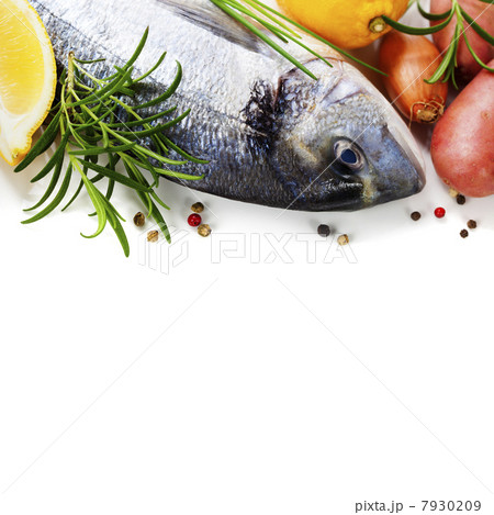 fresh seafood 7930209