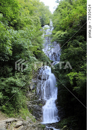 夏の常清滝 夏の常清滝 7930414