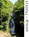夏の常清滝 7930415