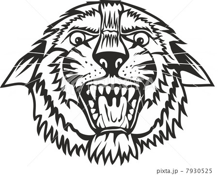 head tiger 7930525