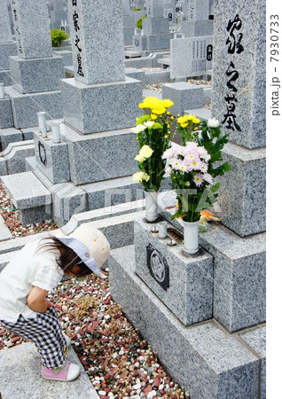 お墓詣り 7930733