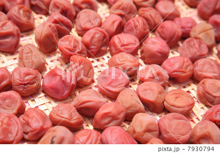 土用干し 7930794