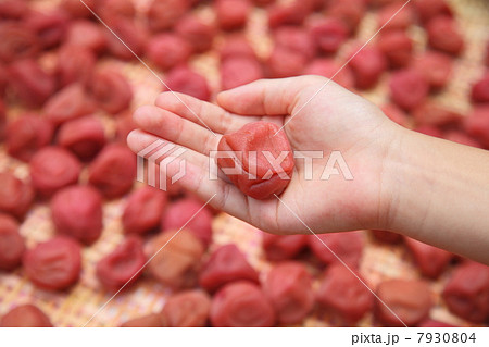 土用干し 7930804