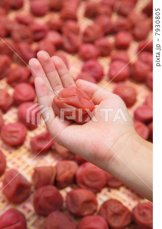 土用干し 7930805