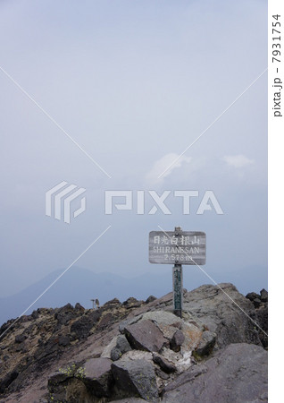 日光白根山山頂 7931754