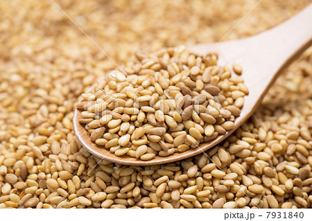 金ごま 金ごま 7931840