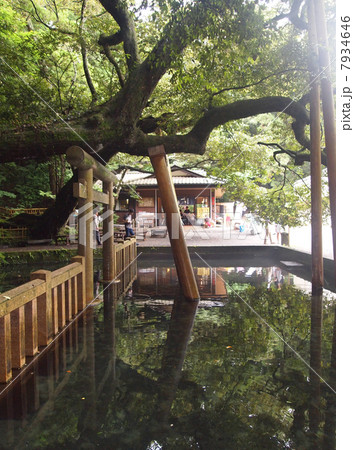 御手洗池 7934646