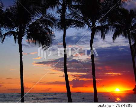 綺麗な夕日とヤシの木のシルエットの写真素材 7934889 Pixta