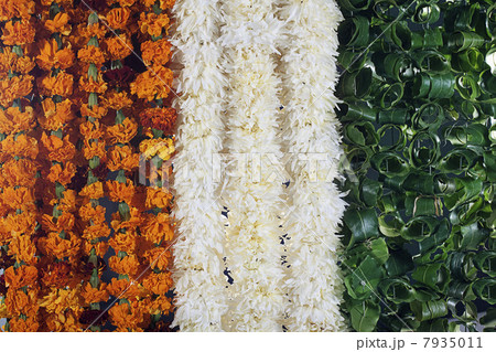 Different coloured flowers Different coloured flowers 7935011