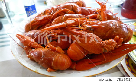 Crayfish Party Crayfish Party 7936014
