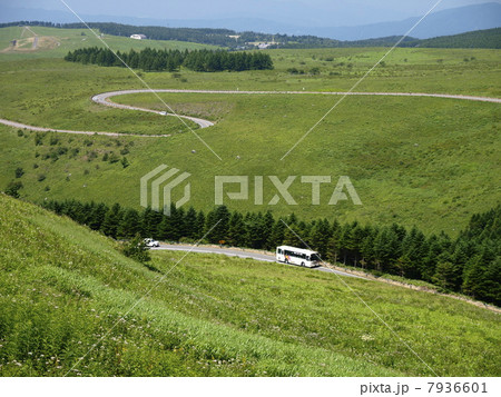 霧ヶ峰高原 霧ヶ峰高原 7936601