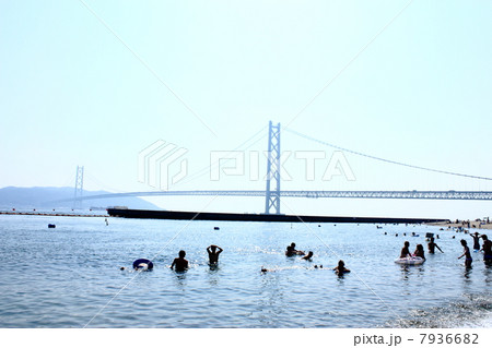 海水浴(舞子浜) 海水浴(舞子浜) 7936682