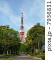 東京タワー 7936831