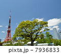 東京タワー 7936833