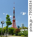 東京タワー 7936834