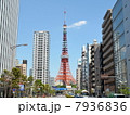 東京タワー 7936836