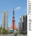 東京タワー 7936837