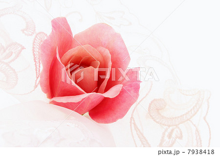 バラ・ディスタントドラムス バラ・ディスタントドラムス 7938418