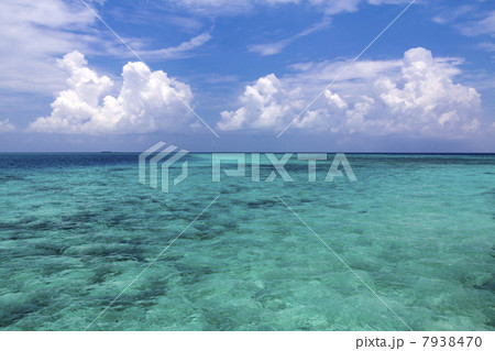 美しい海 美しい海 7938470