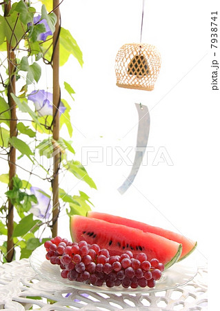 夏のベランダ 夏のベランダ 7938741