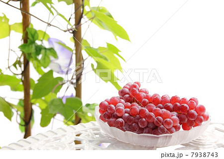 夏のベランダ 7938743