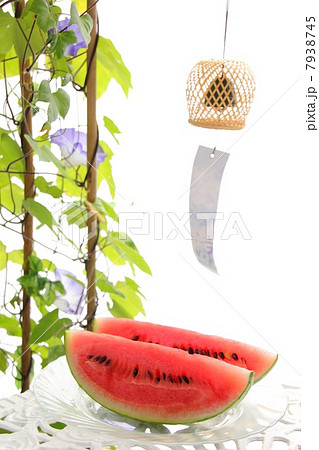 夏のベランダ 夏のベランダ 7938745