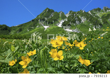 千畳敷カール 7939213