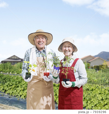 苗を持って畑に立つシニア夫婦 7939296