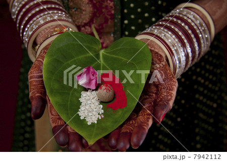 Close-up of Indian brides hand holding areca nut , flower petal and rice on leaf 7942112