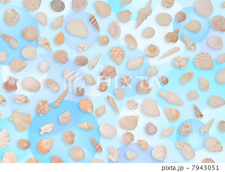 貝殻模様 水玉バックのイラスト素材