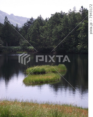 浮島は風で移動します 7943172