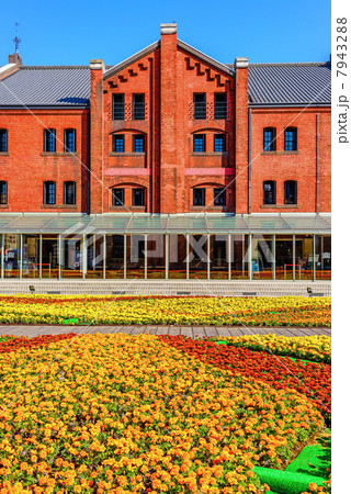 横浜赤レンガ倉庫の花 横浜市中区 の写真素材