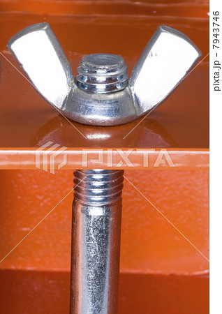 Metal screw and nut 7943746