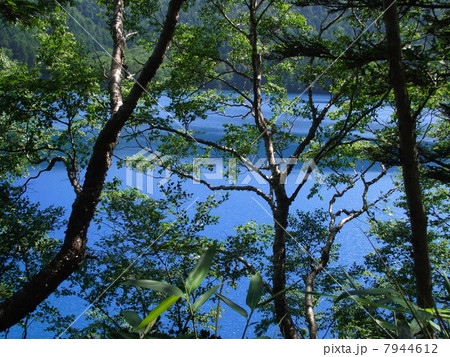 志賀高原の秘めた湖－大沼池 7944612