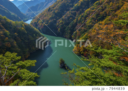 奈川渡ダムの紅葉 奈川渡ダムの紅葉 7944839