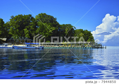 シパダンの海 7944850